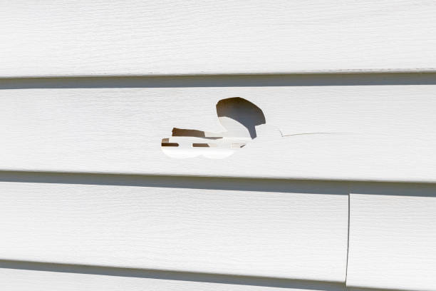 Reliable Montalvin Manor, CA Siding Installation & Repair Solutions